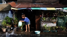 泰国极端高温致38死，鸭子热到不下蛋、榴莲热到爆